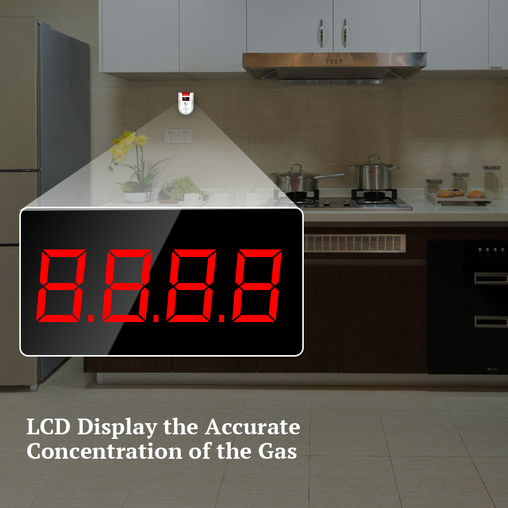 CORINA GD13 LPG GAS Detector A - Home Security Equipment recensie en prijs