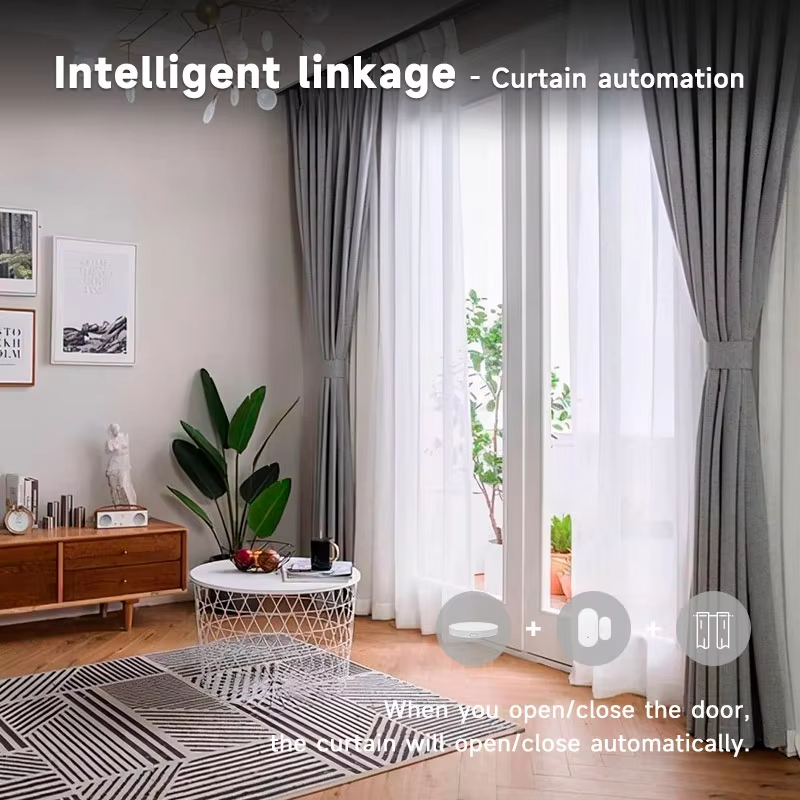 Tuya Zigbee Deur- en raamsenso - Home Security Alexa recensie en prijs