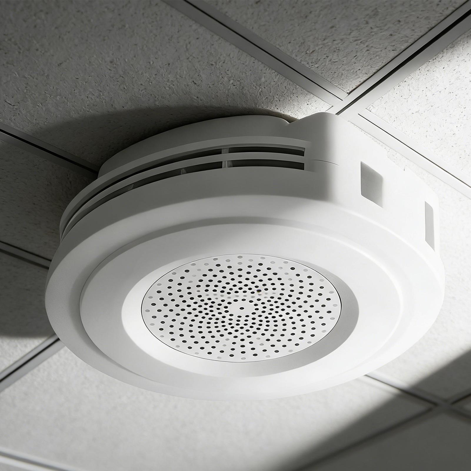 Geheime veilige geldverbergcon - Home Security Ring recensie en prijs